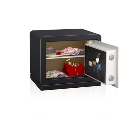 Godrej Ritz Bio With I Buzz Home Locker, book your godrej home safe locker from authorised distributors sanushaa technologies.